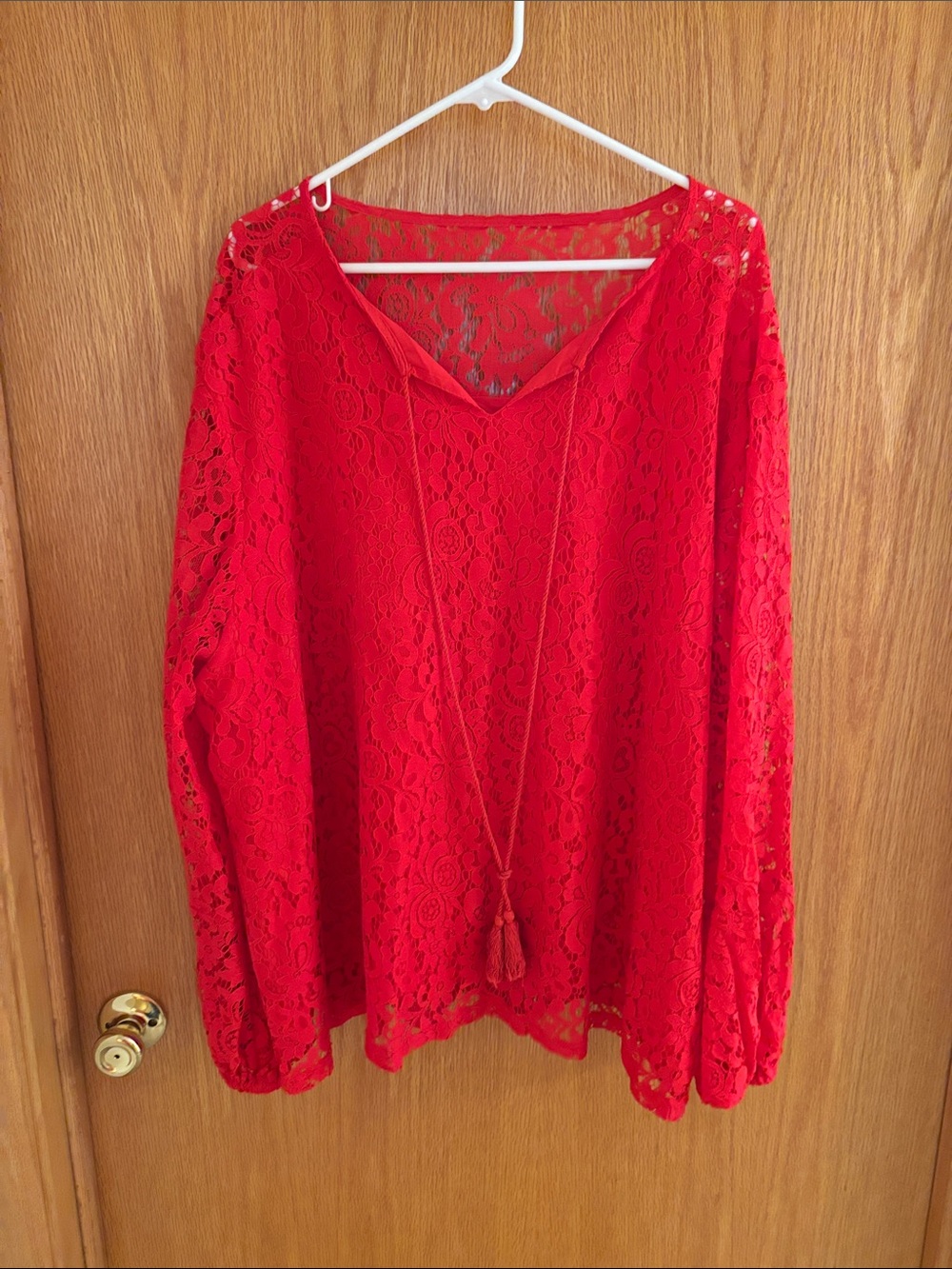 Red Lace V-Neck Long-Sleeve Blouse
